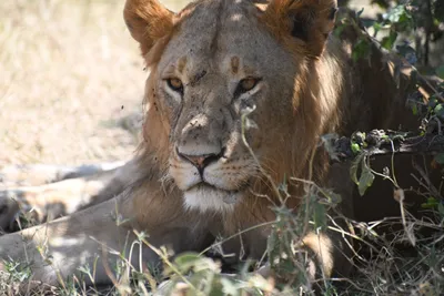 DSC_3577 (Large).JPG